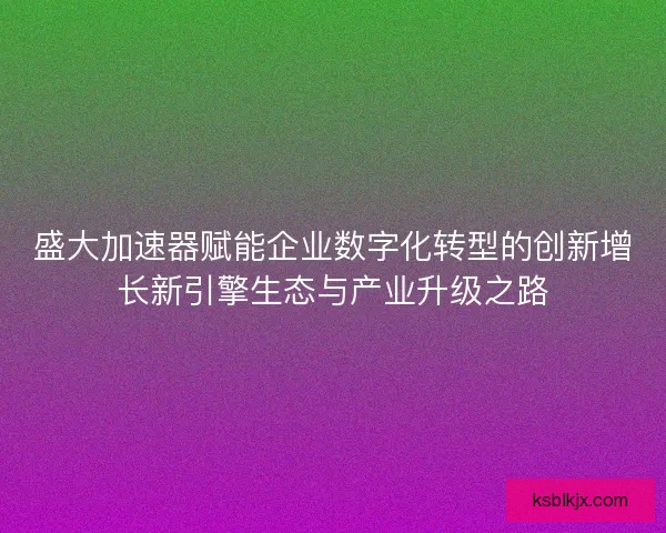 盛大加速器赋能企业数字化转型的创新增长新引擎生态与产业升级之路